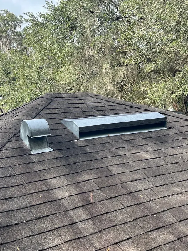 How to Prevent Roof Moss and Algae: Essential Tips from Brehm Roofing, Gainesville