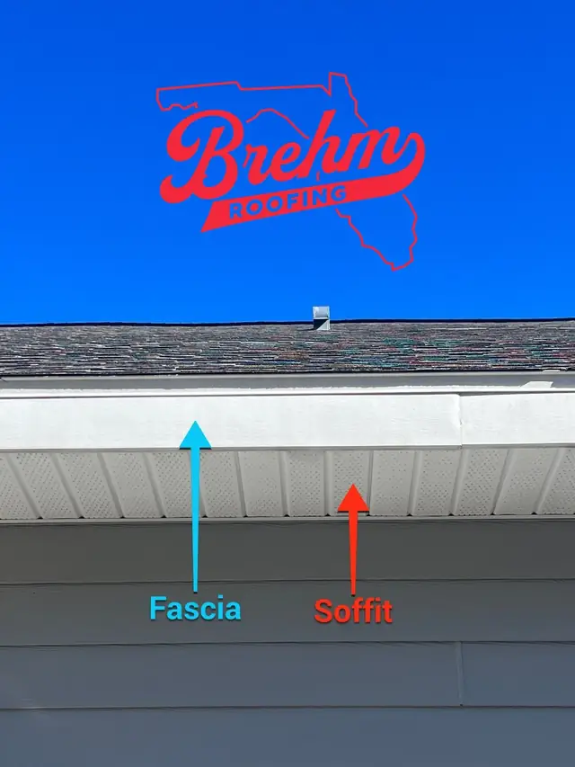 Understanding Fascia: The Unsung Hero of Your Home's Exterior