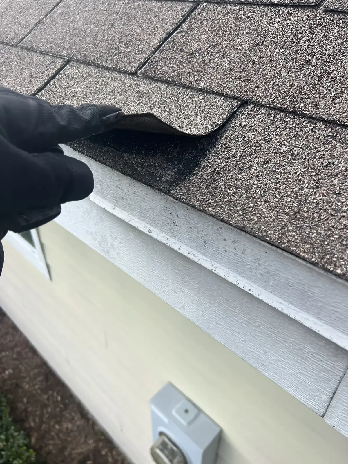 How to Identify Wind Damage on Your Roof