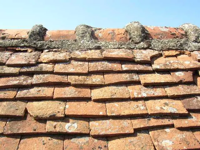 The Timeless Craft: A Journey Through the Evolution of Tile Roofing