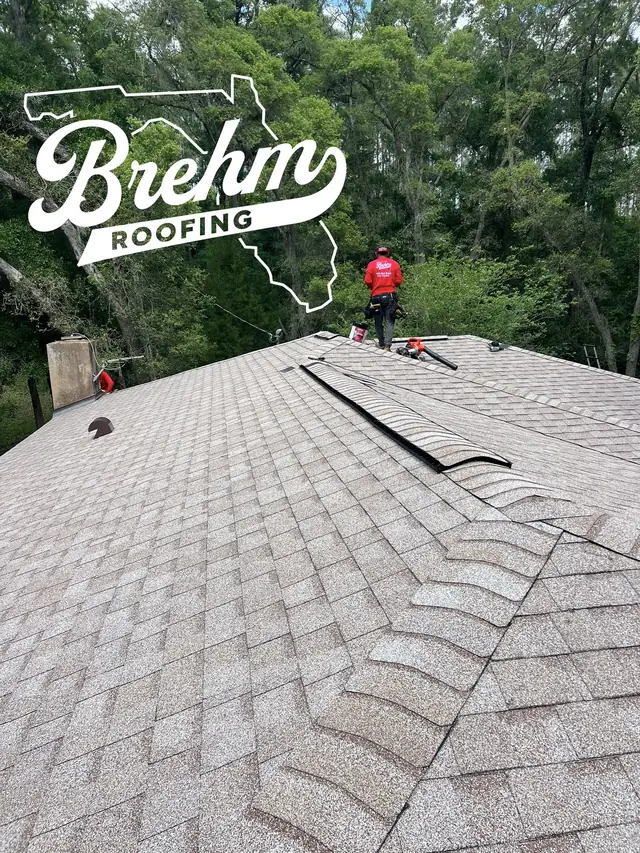 Maximizing the Lifespan of Your Shingle Roof in Florida's Harsh Climate