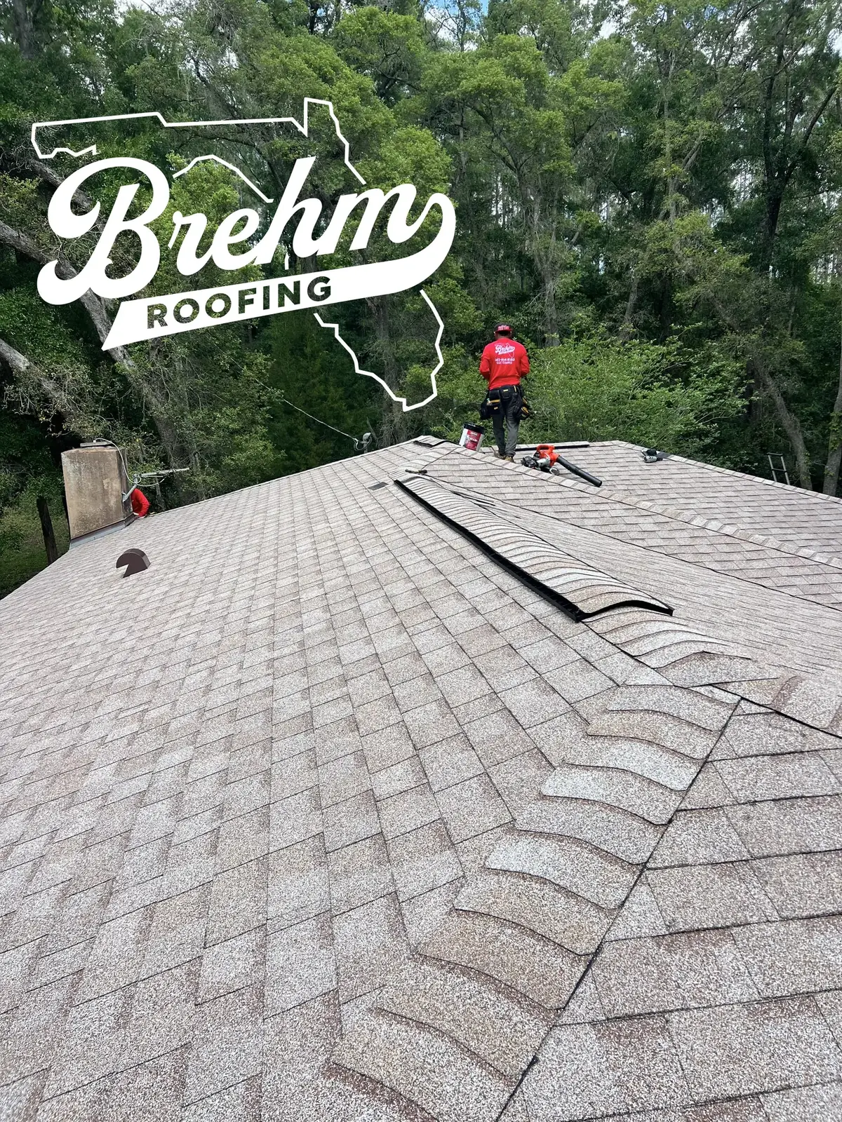 Maximizing the Lifespan of Your Shingle Roof in Florida's Harsh Climate