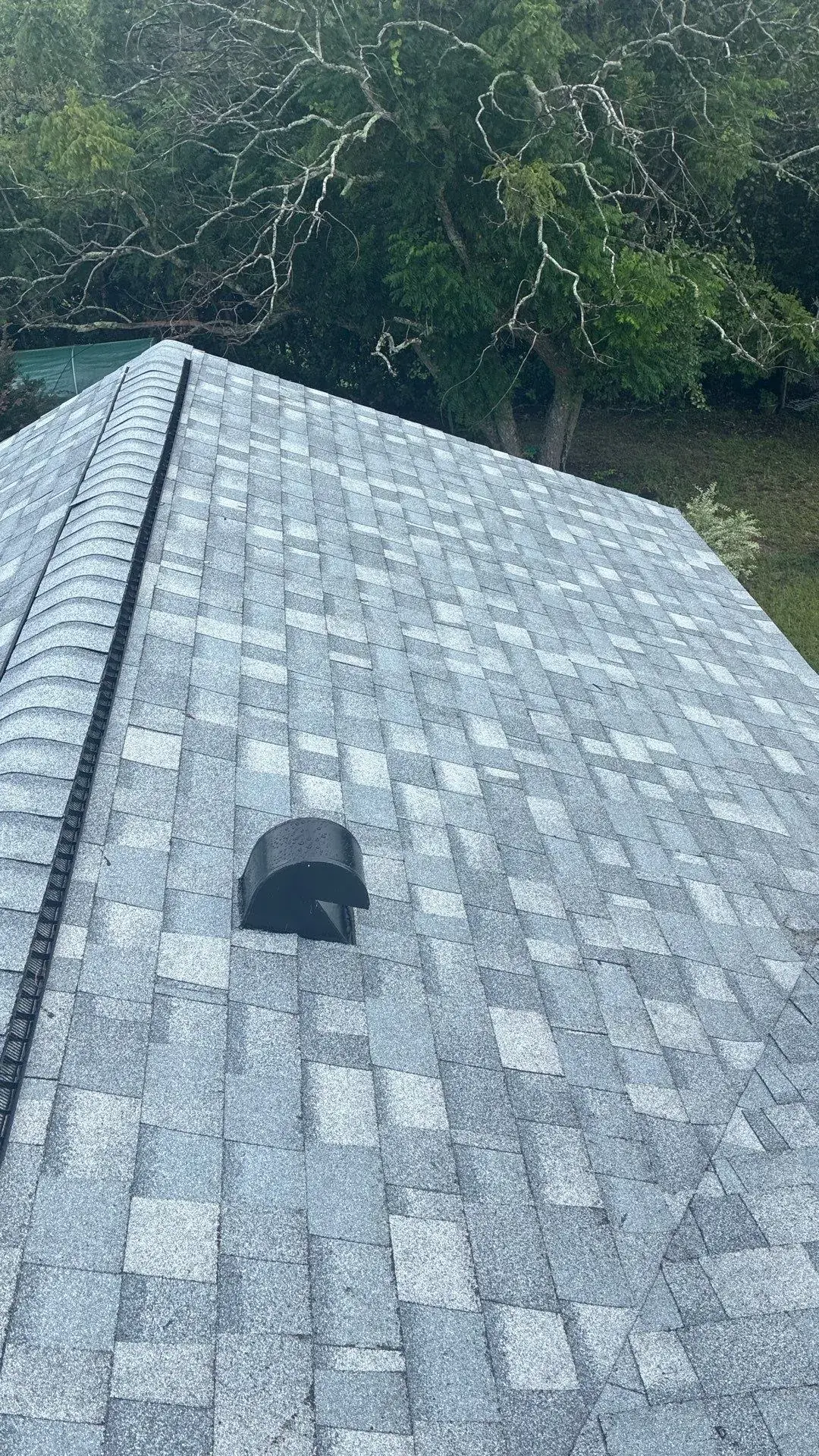 Oak Run Ocala Duration Antique Silver ridge vent and field