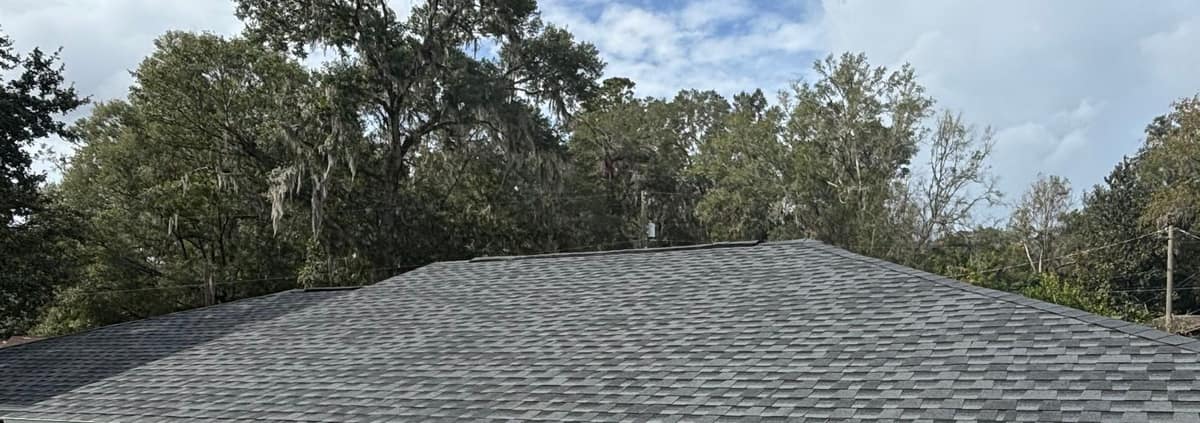 Front slope of the new gray shingle roof below tall trees hung with Spanish moss in Alachua