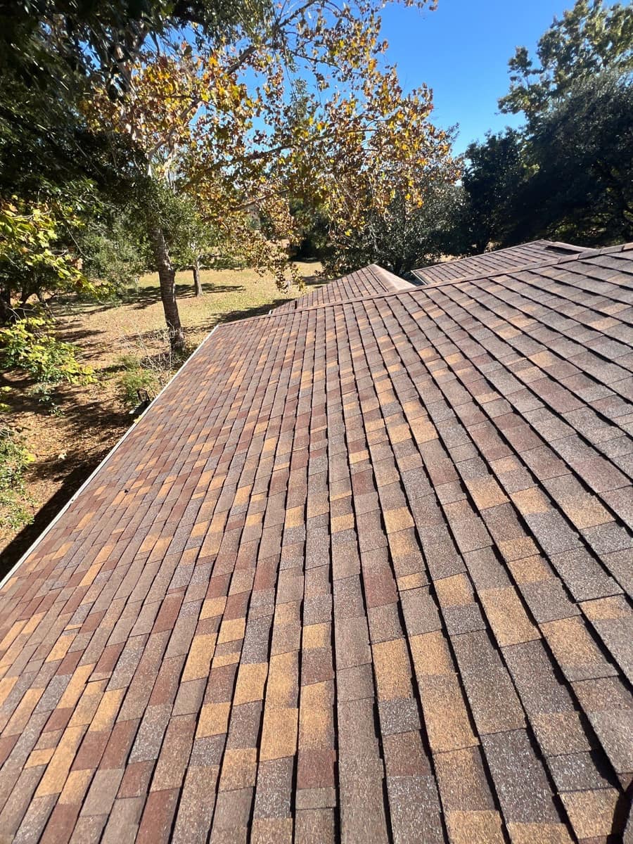 Looking down a long slope of new shingles toward the wooded yard of the Alachua home