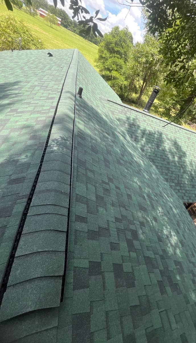 New green architectural shingles and a ridge vent along the main ridge of a Fort White home