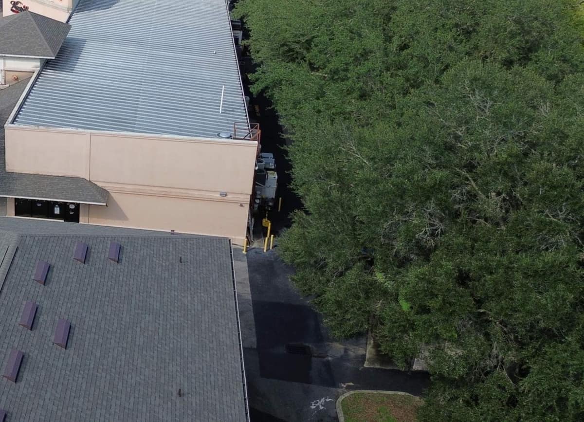 Metal roofed building, the end of the new shingle roof and a wall of shade trees in Gainesville