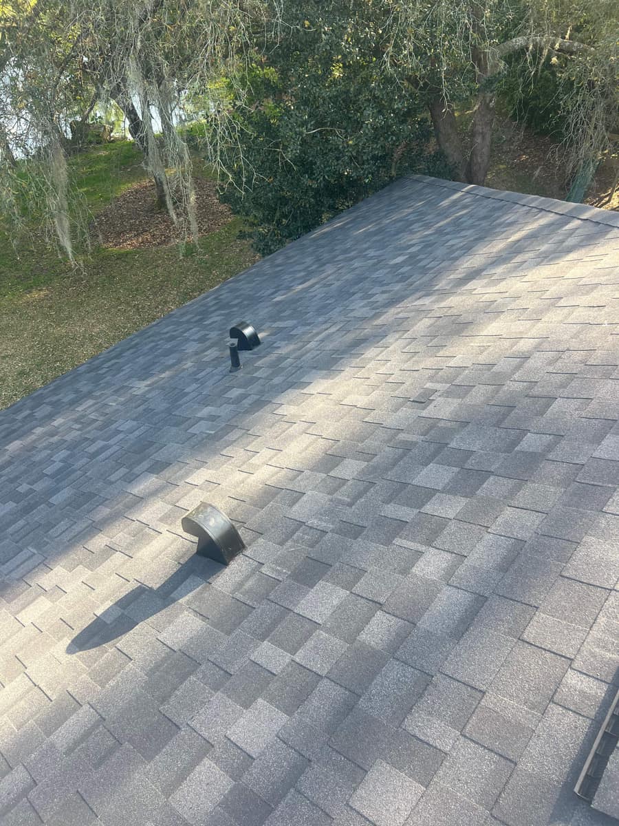 Sunlit roof slope with black vent caps and a pipe vent, trees hung with Spanish moss beyond