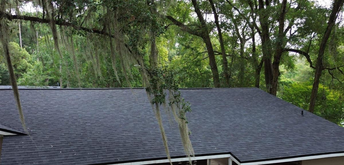 Back slope of the Gainesville roof seen through Spanish moss hanging from big shade trees