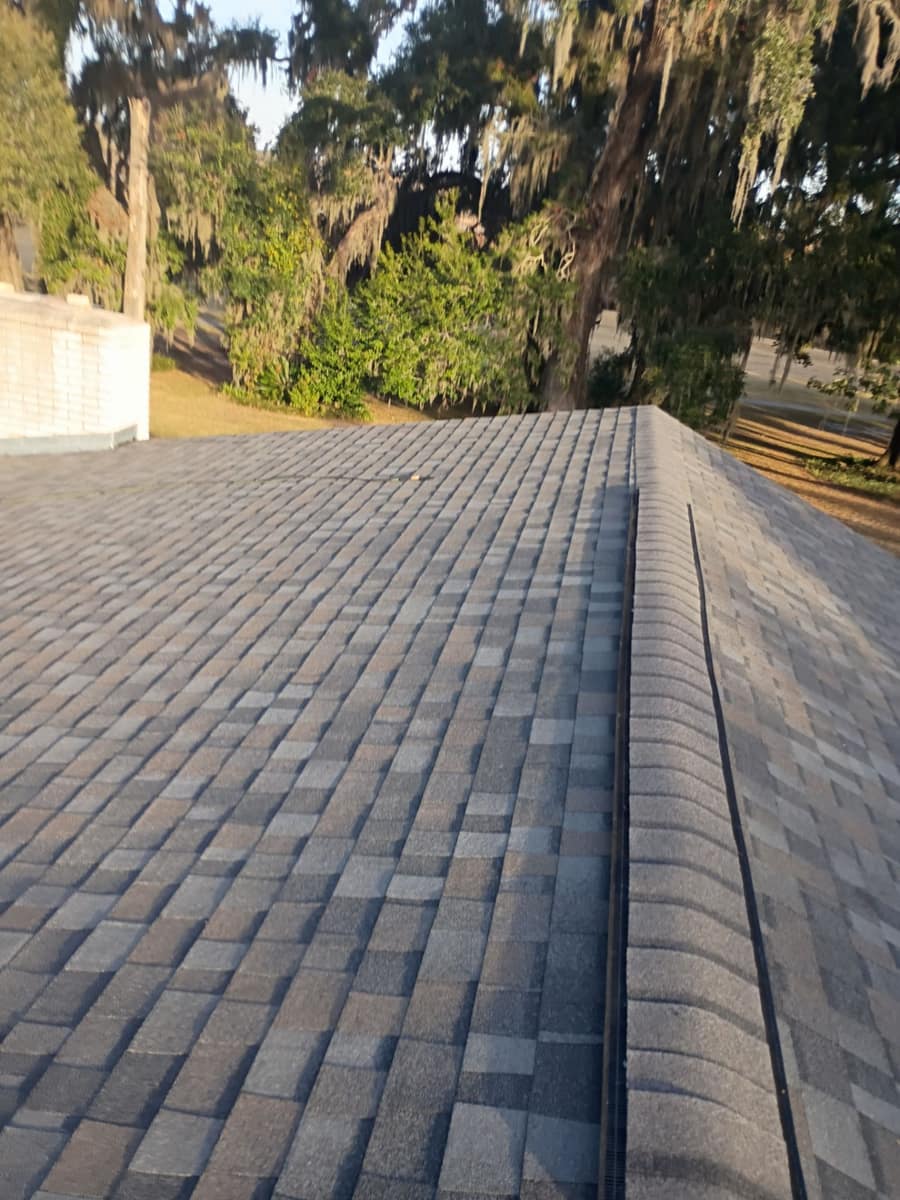 Ridge vent under ridge cap shingles, with moss-draped oaks beyond the Lake City home