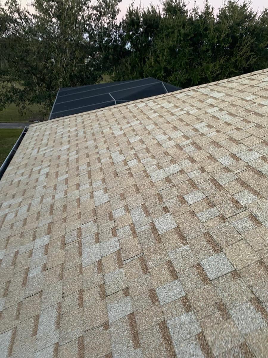 New tan and cream shingles up close at dusk, with the lanai cage beyond in Leesburg