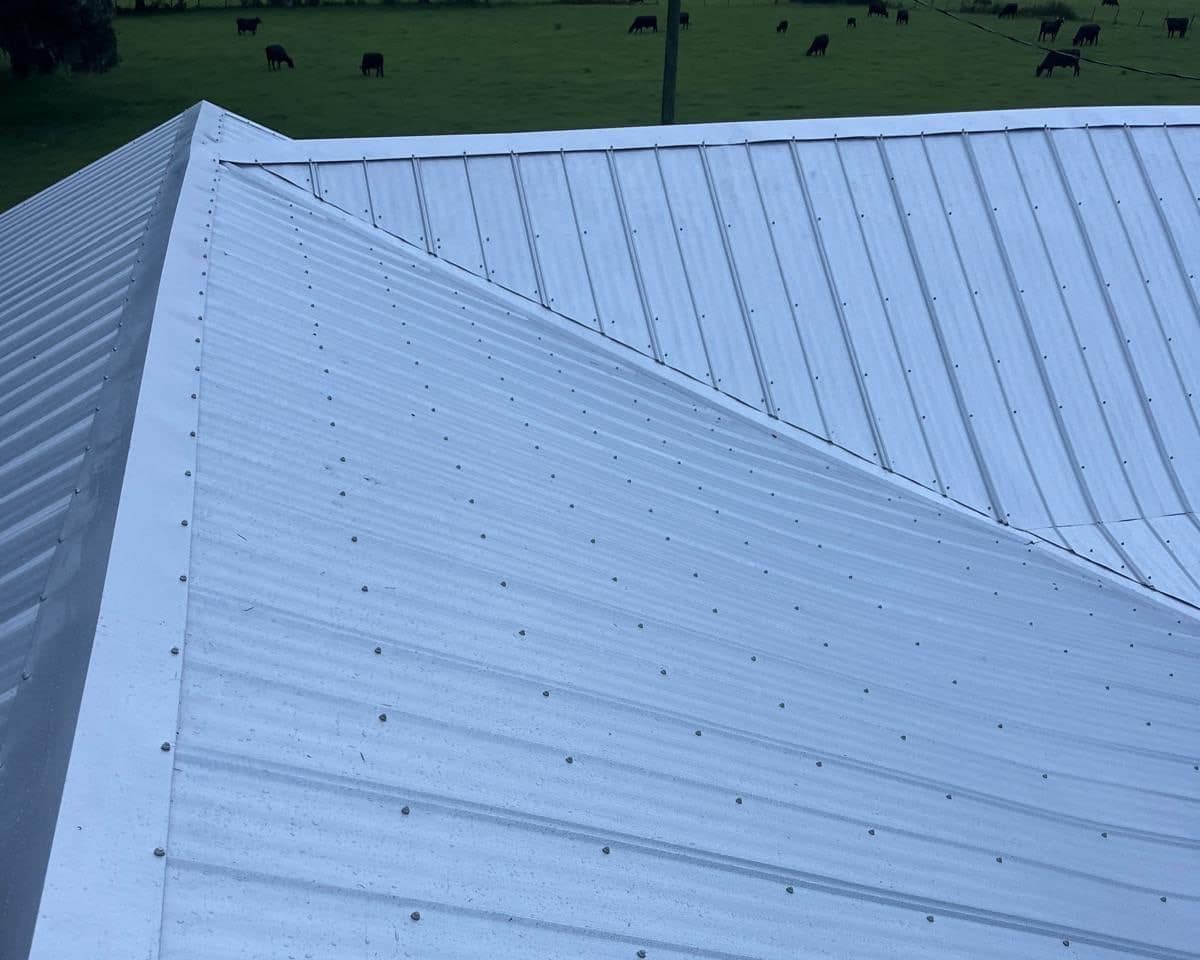 New silver metal roof in Micanopy with a ridge cap and a valley above a cattle pasture