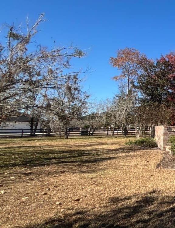 Open lawn, a dark board fence and trees hung with moss beside the Newberry home