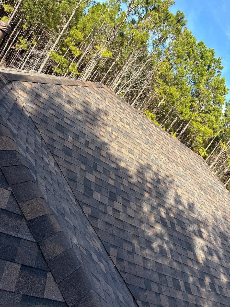 Hip cap shingles and a long sloped section of the roof with tall pines behind, in Newberry